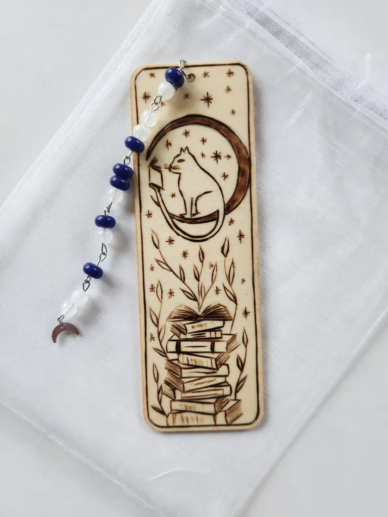 The cat on the moon.webp