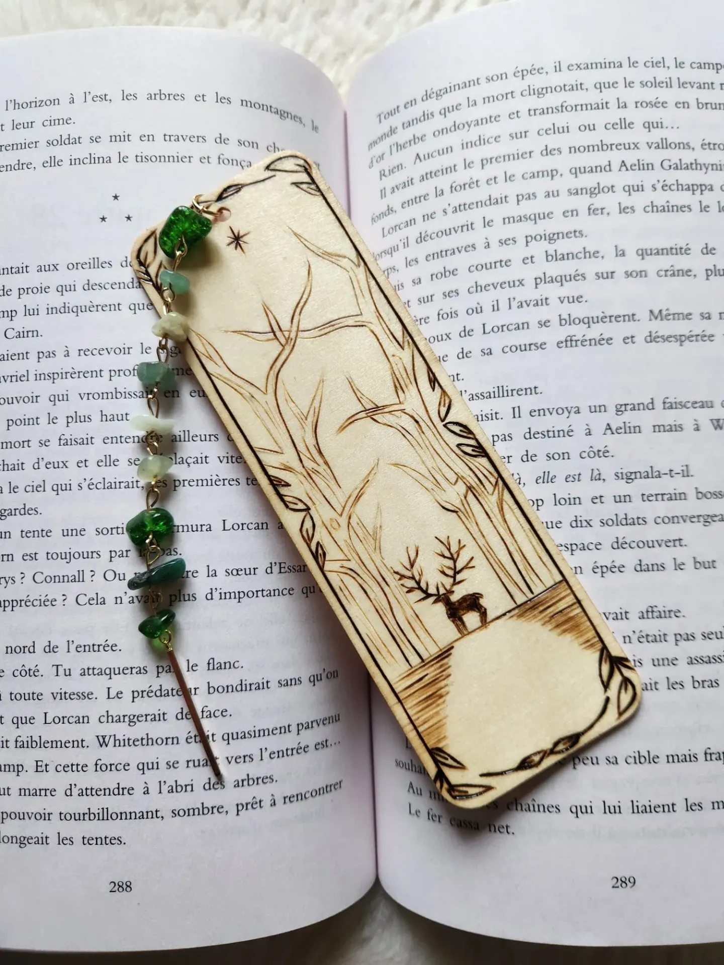 The Lord of the north